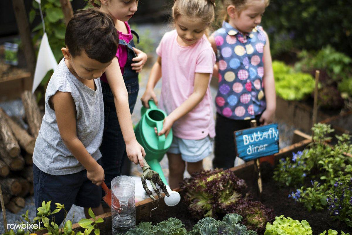 GARDEN CLUB